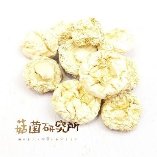 菇菌研究所 - 白雲菇 (150g)