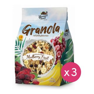 Granola is Younger Farm - 桑莓雜果+果仁味 格蘭諾拉麥片 (225g x 3件)