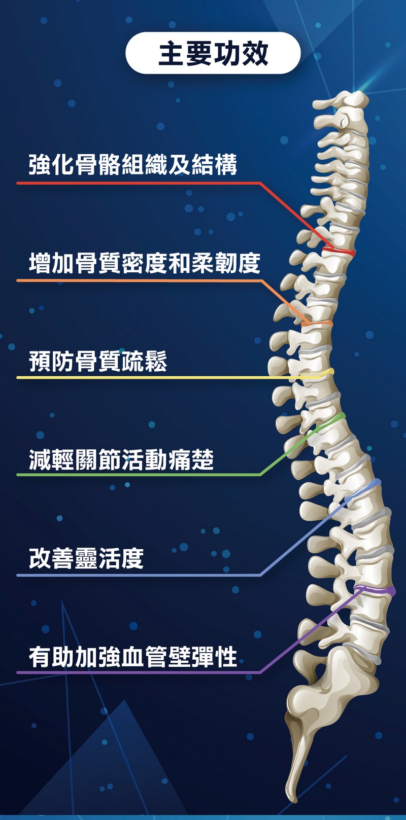 液體鈣100粒