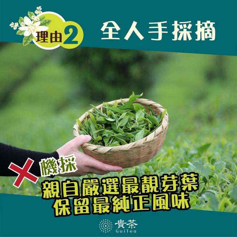 貴茶 綠寶石高原綠茶茶包 精選10pcs 12件