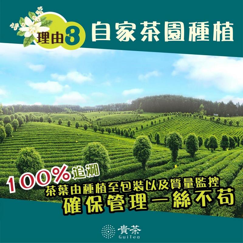 貴茶 綠寶石高原綠茶茶包 精選10pcs 12件