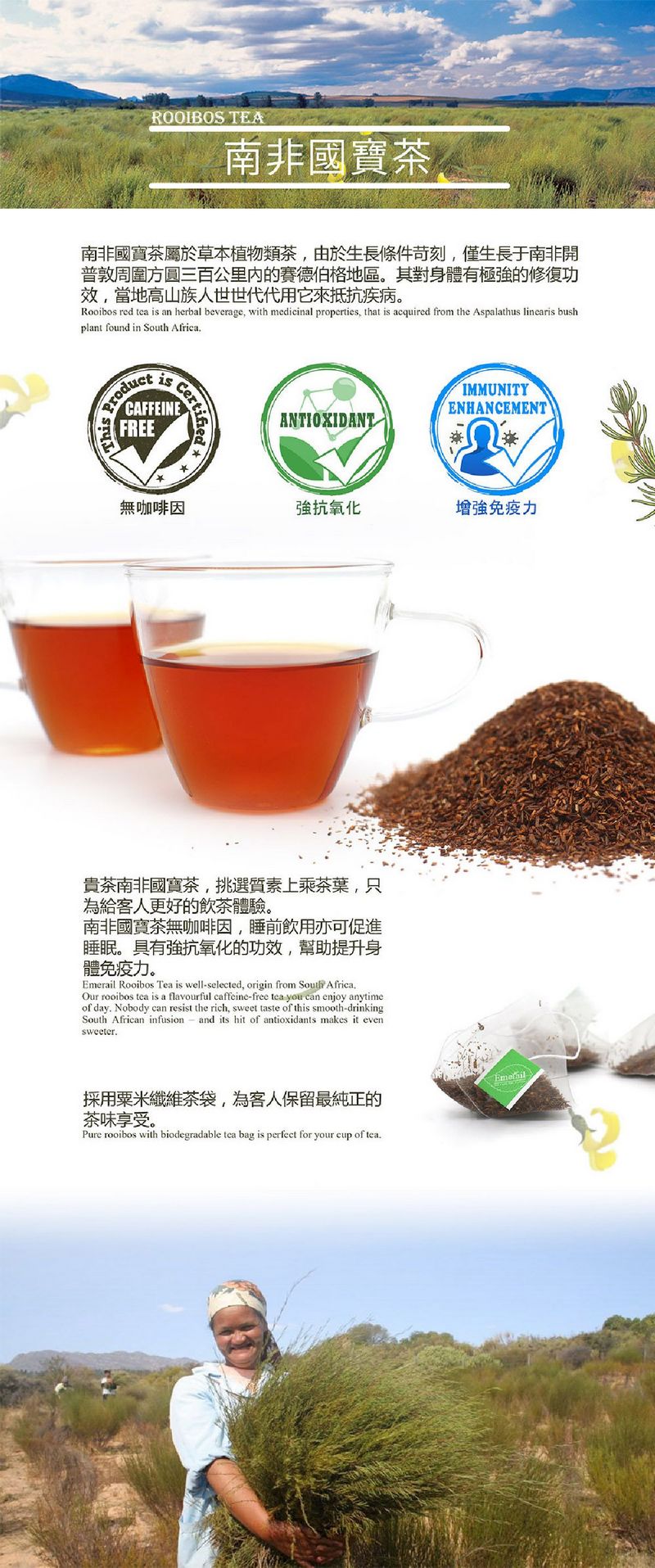 貴茶 南非國寶茶茶包15pcs 5件