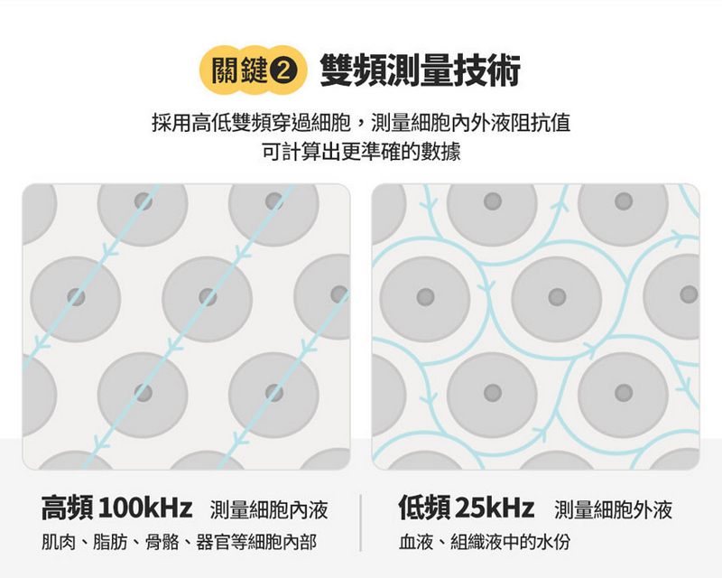 3zebra 3Body Pro八電極體脂計 專業款