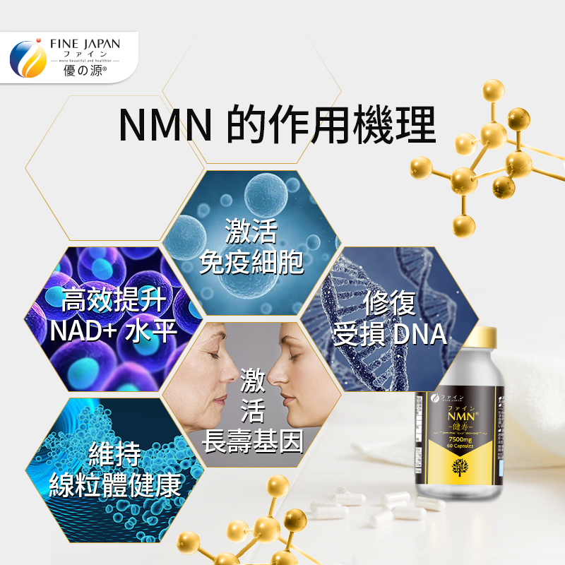 NMN-健壽逆齡15000